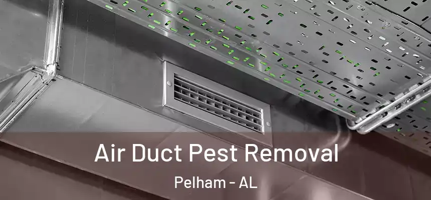 Air Duct Pest Removal Pelham - AL