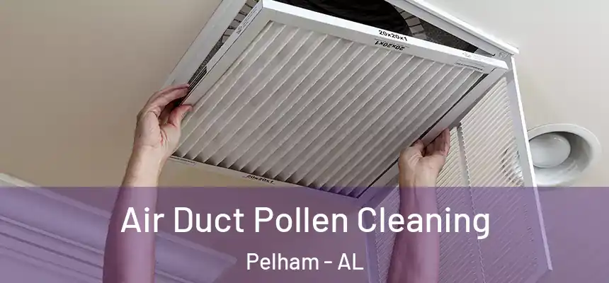  Air Duct Pollen Cleaning Pelham - AL