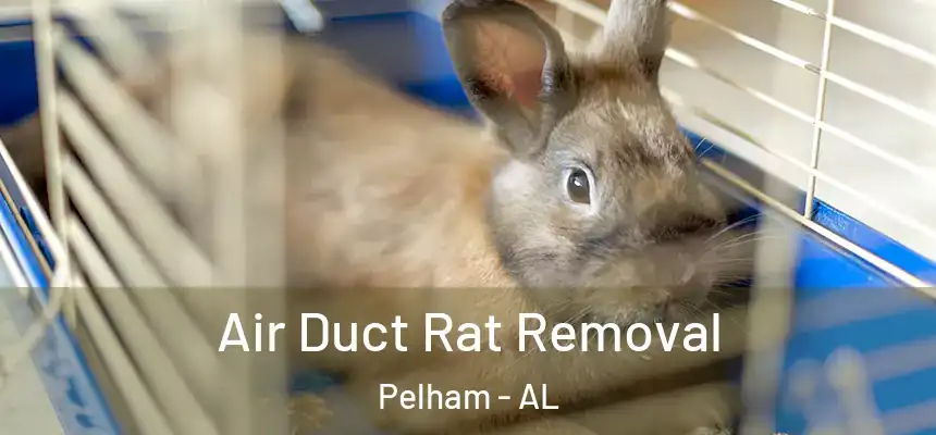 Air Duct Rat Removal Pelham - AL