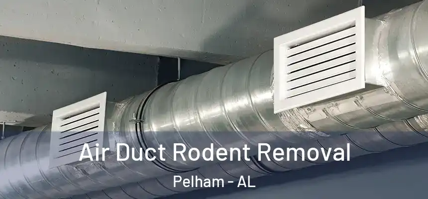  Air Duct Rodent Removal Pelham - AL