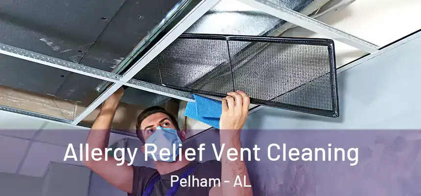  Allergy Relief Vent Cleaning Pelham - AL