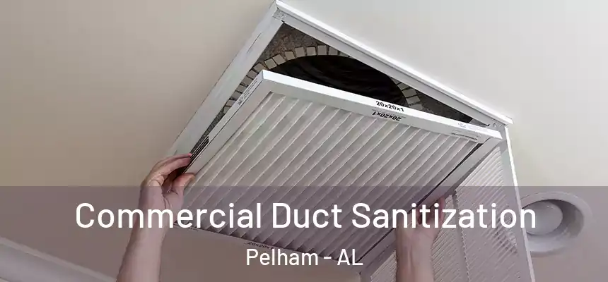Commercial Duct Sanitization Pelham - AL