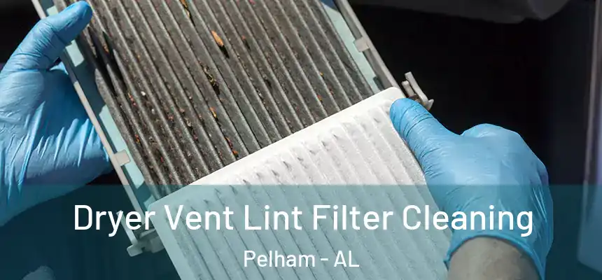  Dryer Vent Lint Filter Cleaning Pelham - AL