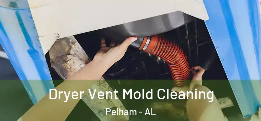 Dryer Vent Mold Cleaning Pelham - AL