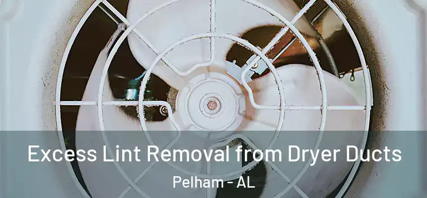  Excess Lint Removal from Dryer Ducts Pelham - AL