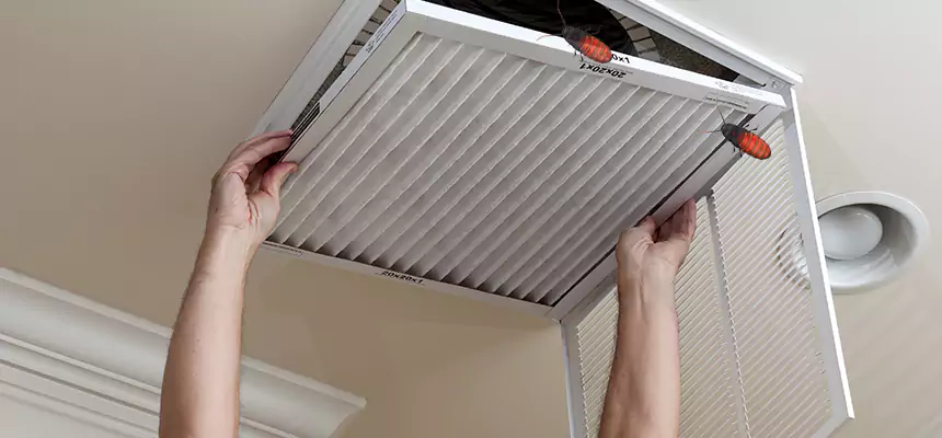 Preventive Cockroach-Proofing for Ducts in Pelham