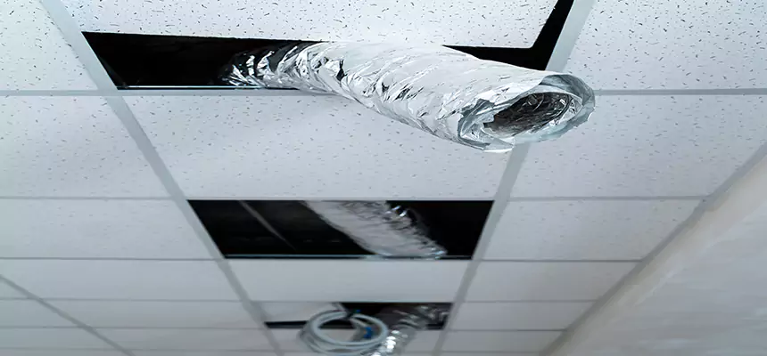 Affordable HVAC Sanitizing After Pest Removal in Pelham