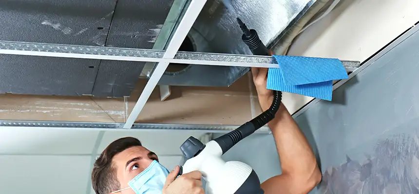 Our Air Duct Rodent Removal Services in Pelham, AL