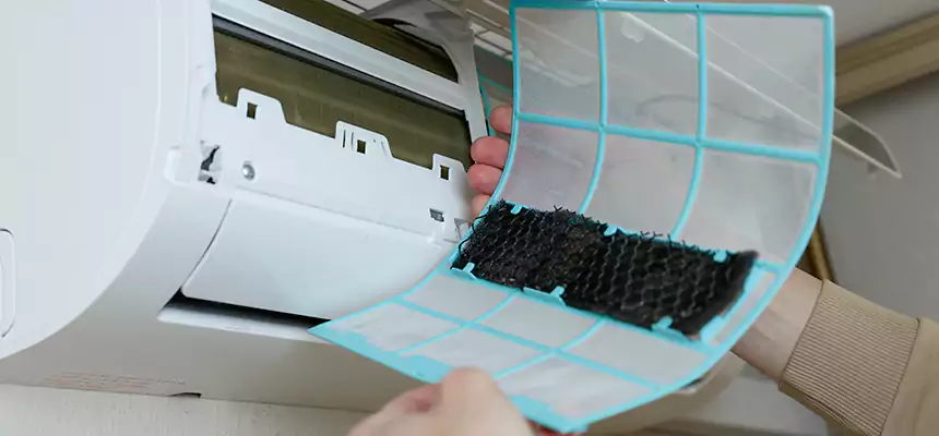 Gentle Ductwork Odor-Control Pet Dander Duct Cleaning in Pelham, AL