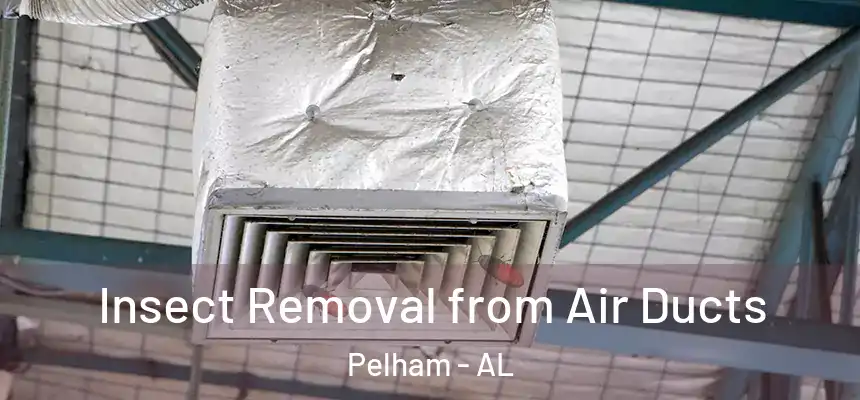  Insect Removal from Air Ducts Pelham - AL