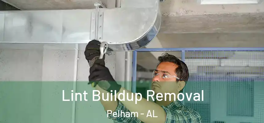 Lint Buildup Removal Pelham - AL