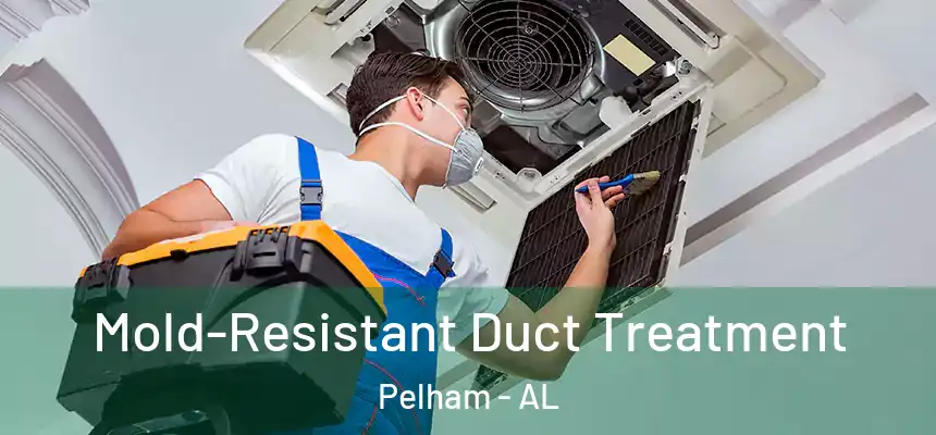 Mold-Resistant Duct Treatment Pelham - AL