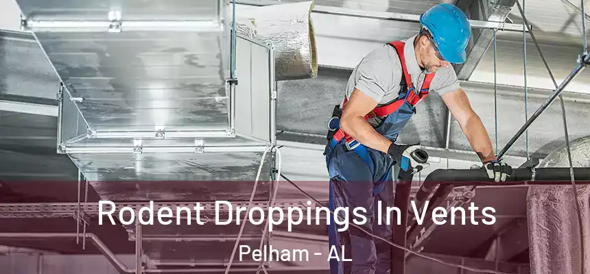  Rodent Droppings In Vents Pelham - AL