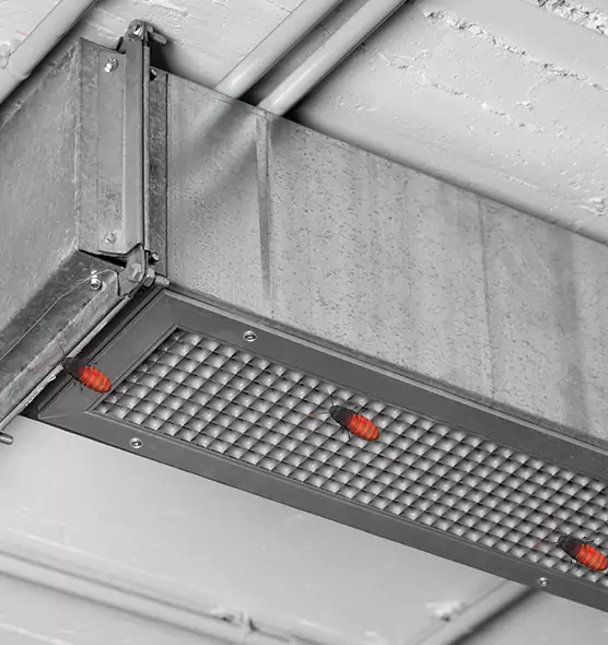 About Air Duct Cockroach Removal in Pelham, AL