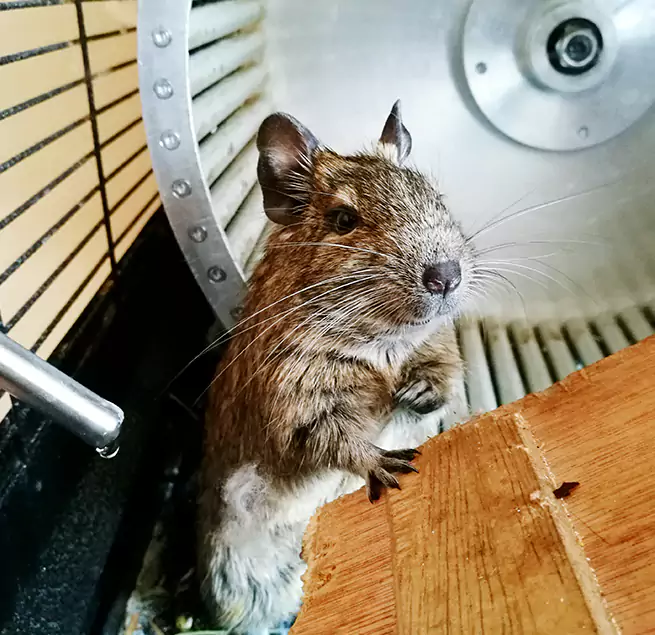 Why Homeowners & Businesses Trust Us Pelham, AL