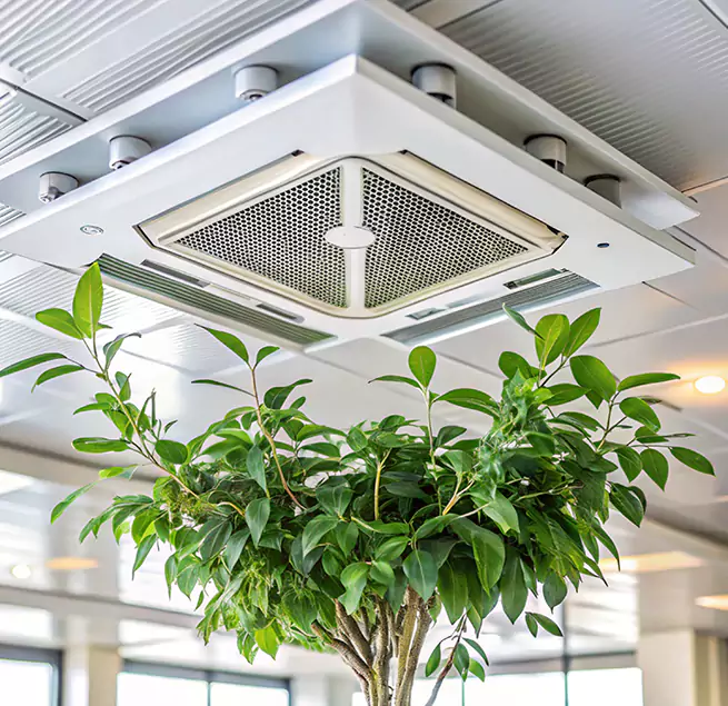 Why Homeowners & Businesses Trust Us in Pelham, AL