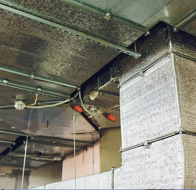 Why Homeowners & Businesses Trust Us Pelham, AL?